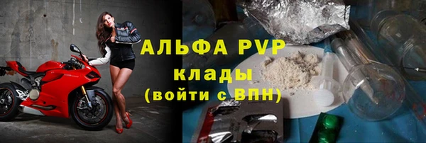 стаф Абинск