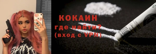 дживик Абаза