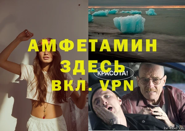 стаф Абинск