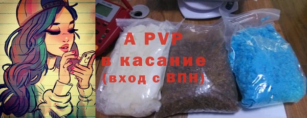 стаф Абинск